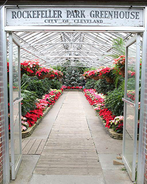 a greenhouse with flowers and plants