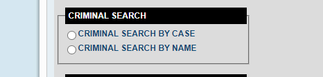 Criminal Search screen