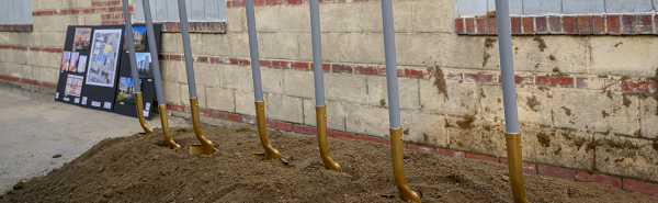 A big pile of dirt has a row of 8 shiny shovels sticking out of it.