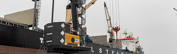 A large cargo vessel is anchored at the Port Authority with a crane on the dock next to it getting ready to raise a cargo container.