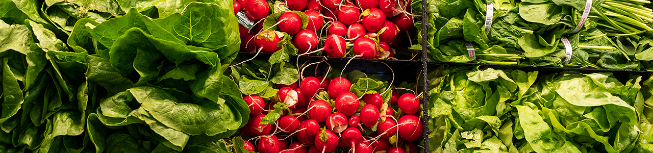 Lettuce, spinach, and radishes on display in the produce section of a grocery shop.