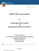 cover of 2017 Annual Plan