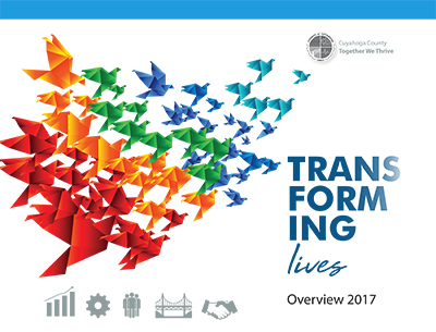 cover of 2017 overview report with colorful oragami birds on a white background