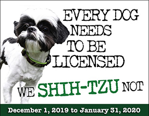 dog license flyer with shih tzu