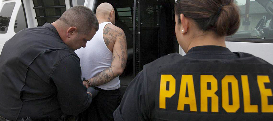 Two parole officers arresting a person who violated their probation.