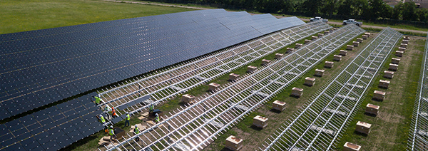 Solar field in Brooklyn