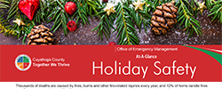 Holiday Safety Fact Sheet Thumbnail