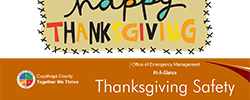 Thanksgiving Safety Fact Sheet Thumbnail