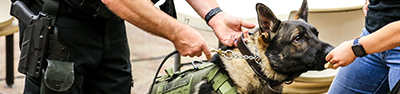 officer with a K-9 on a leash smelling a person's hand