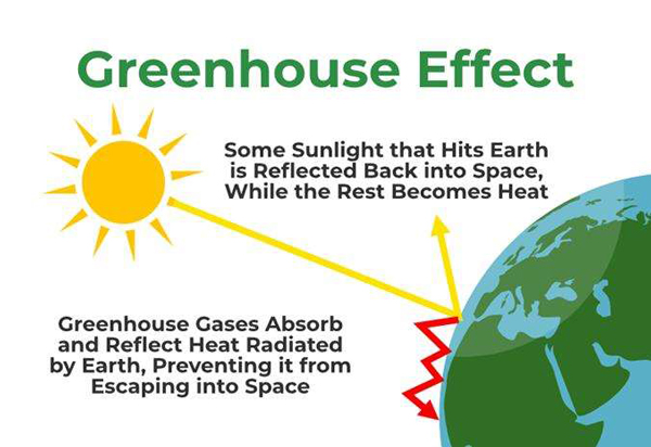 Diagram depicting how greenhouse gases are created within a city.