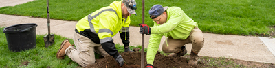 Two men planting a young tree in the ground.