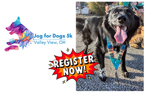 Jog for Dogs 5K Registration poster