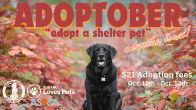 Adoptober Adopt a shelter pet - Oct. 11 - 13