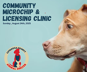 Microchipping Licensing Clinic