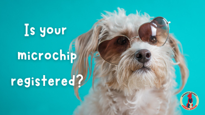 dog wearing sunglasses with the words "Is your microchip registered?" next to it