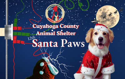 dog dressed as Santa Clause for the Santa Paws poster