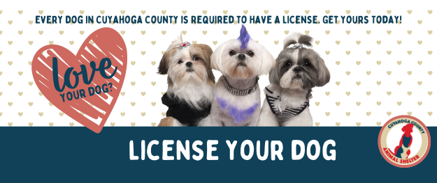 Purchase your Dog License