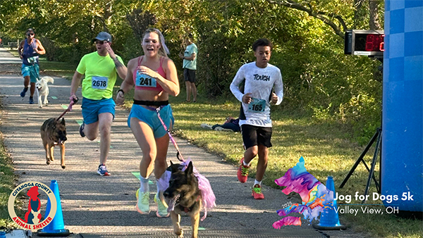 6th Annual Jog for Dogs event poster