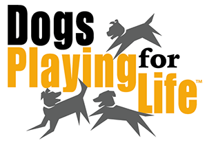 Dogs Playing for Life