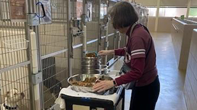 CCAS Volunteer with food cart feeding dogs in cages