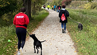 Two volunteers walking two shelter dogs down a gravel path outside.